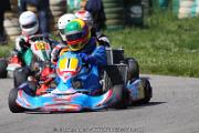 20110501_ales_agnus (2120)